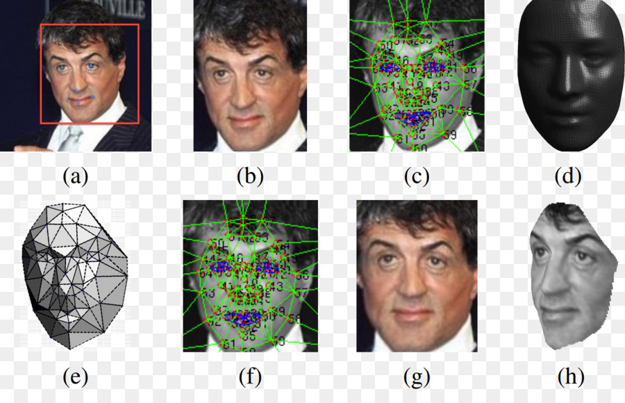 Analyse Du Visage，Modèle 3d PNG