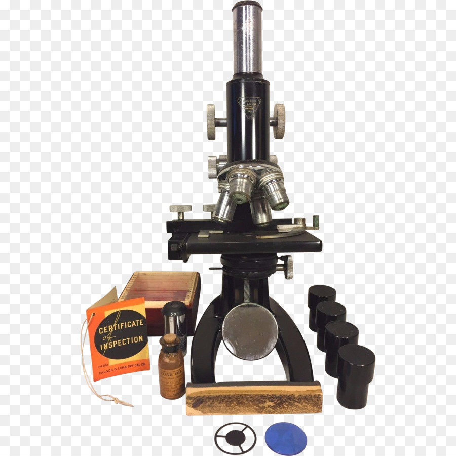 Microscope，Spécimen Zoologique PNG