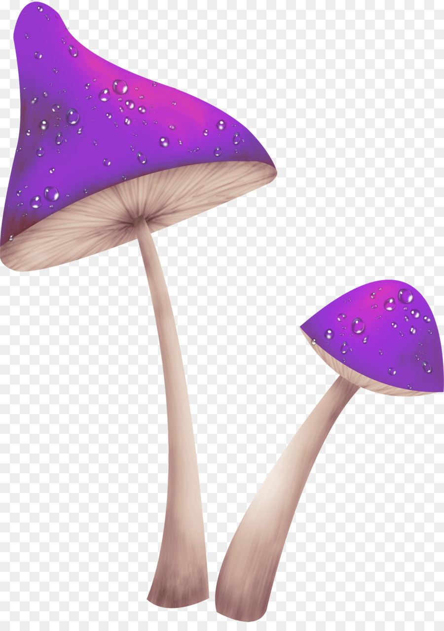 Champignons，Plantes PNG