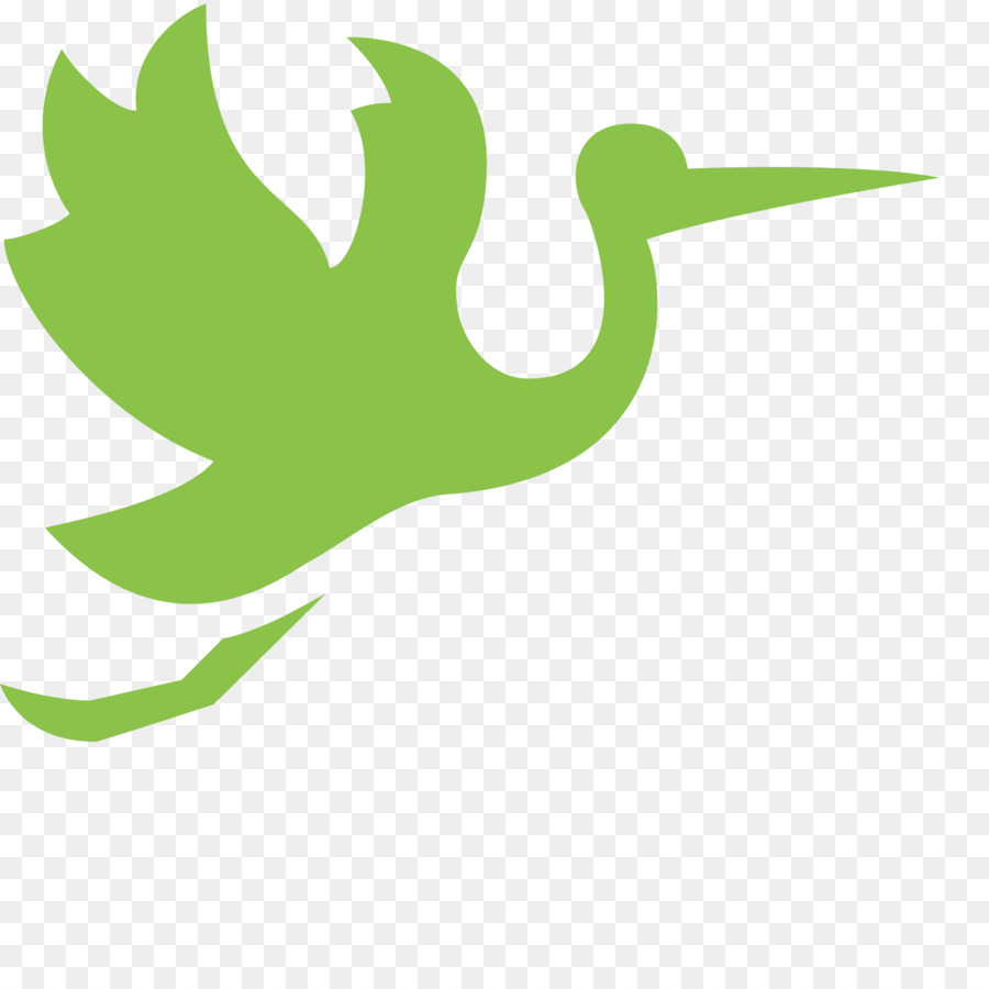 Oiseau Vert，Vol PNG