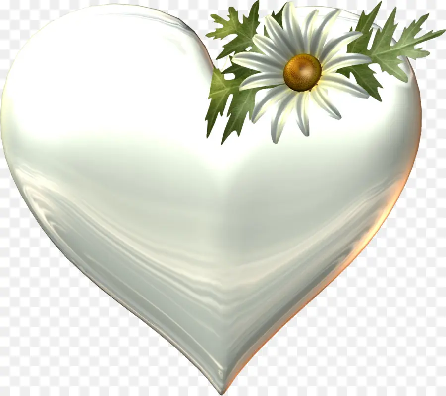 Coeur Blanc Avec Fleur，Amour PNG