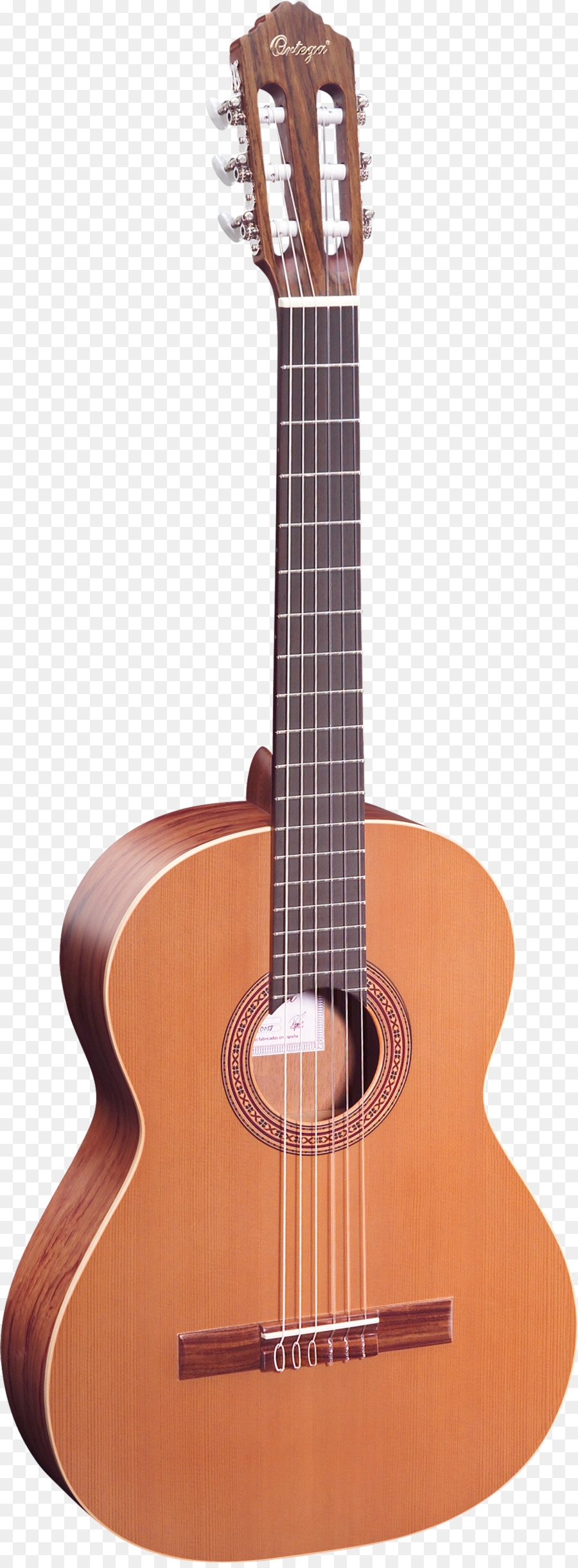 Guitare，Cordes PNG