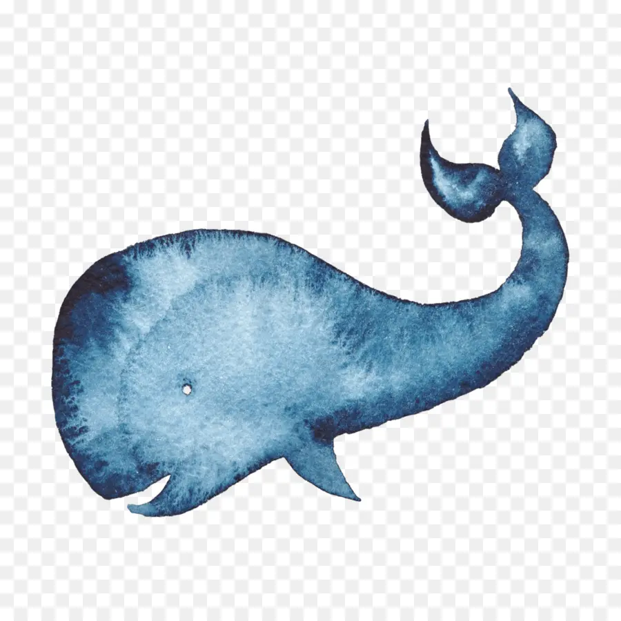 Baleine Bleue，Océan PNG