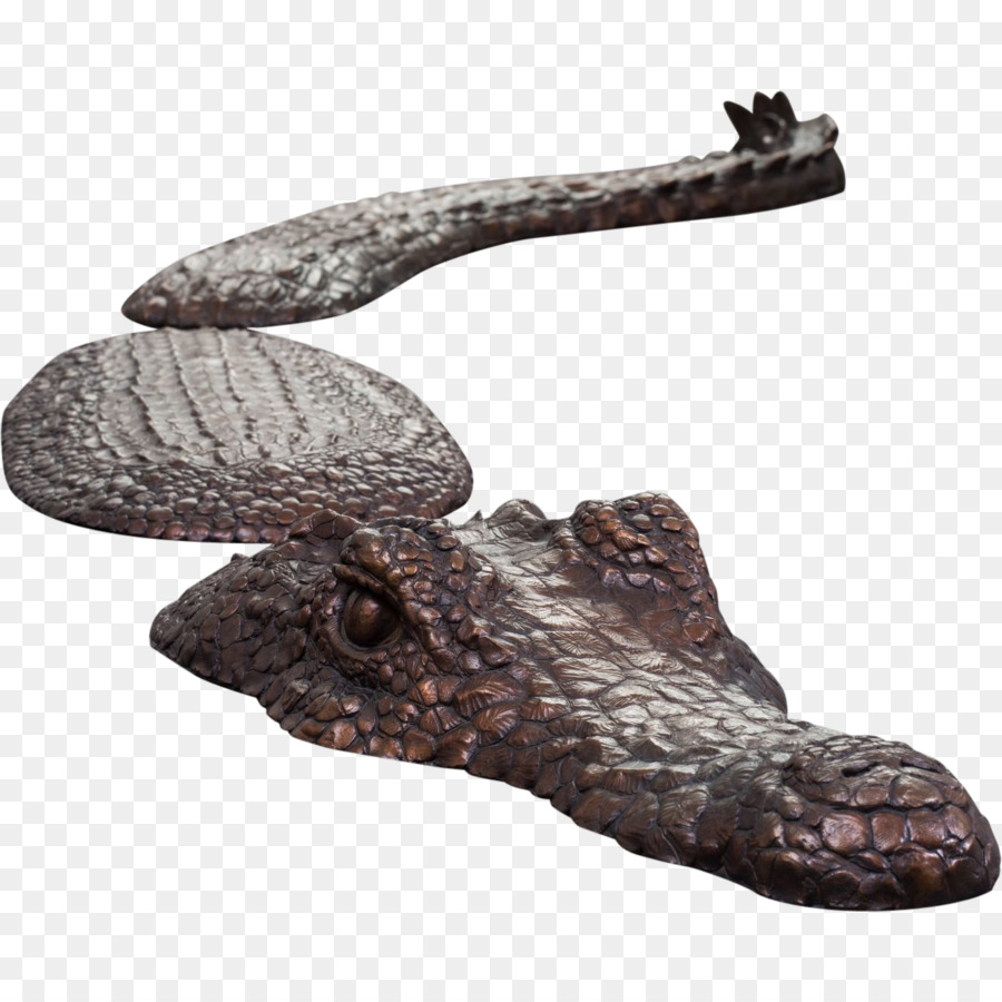Reptile，Chaussure PNG