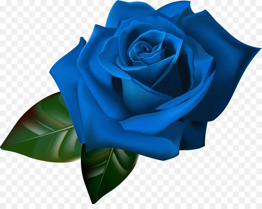 Roses Bleues，Bouquet PNG