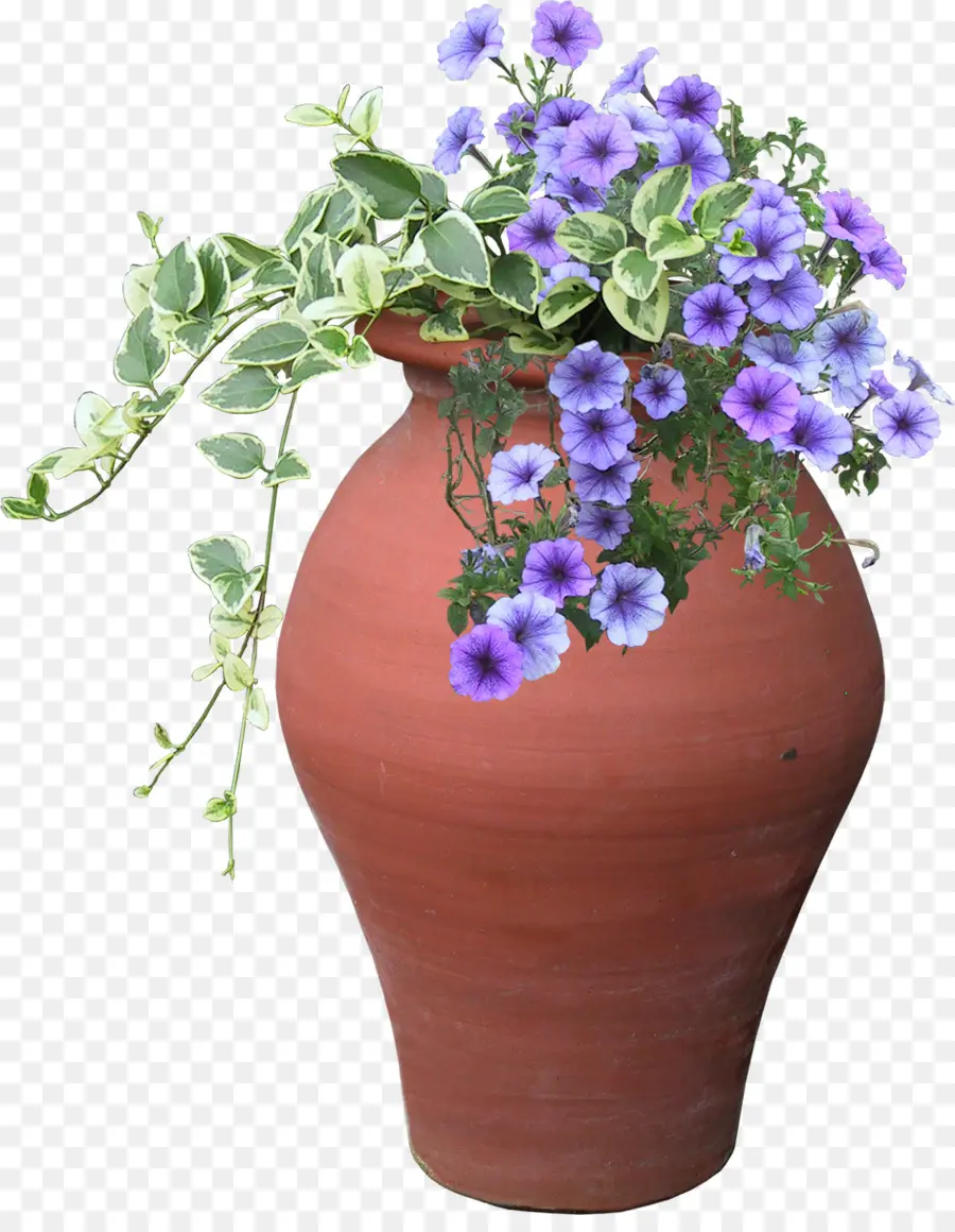 Pot De Fleur，Fleurs PNG