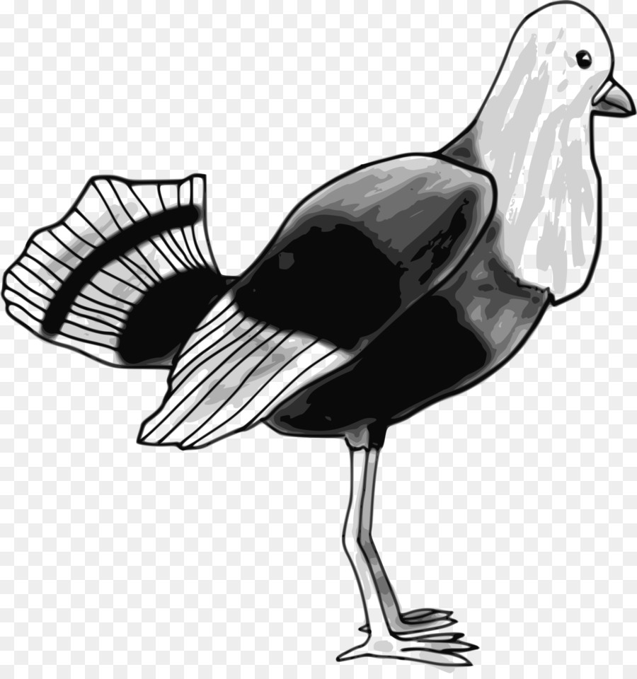 L Art En Ligne，Oiseau PNG