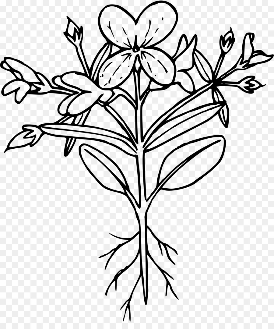 Fleur，Usine PNG