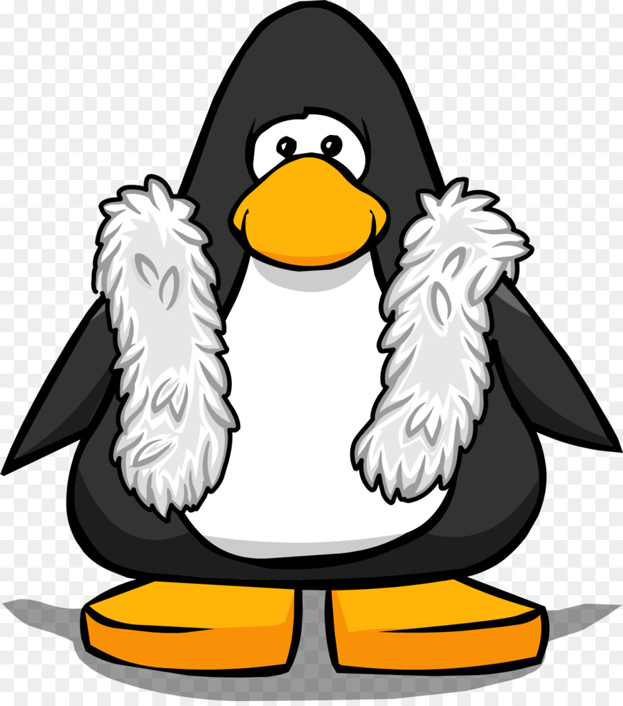 Pingouin Et Singe，Animal PNG