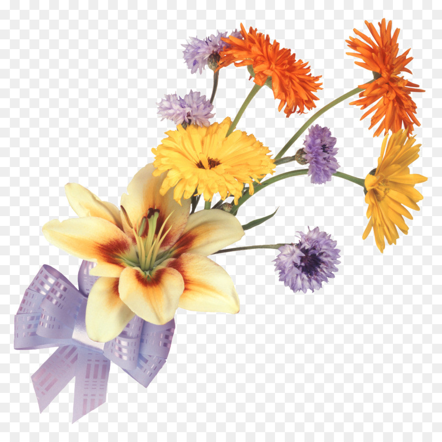 Fleur Des Champs Fleur Dessin Png Fleur Des Champs