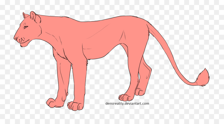 Lion，Cougar PNG