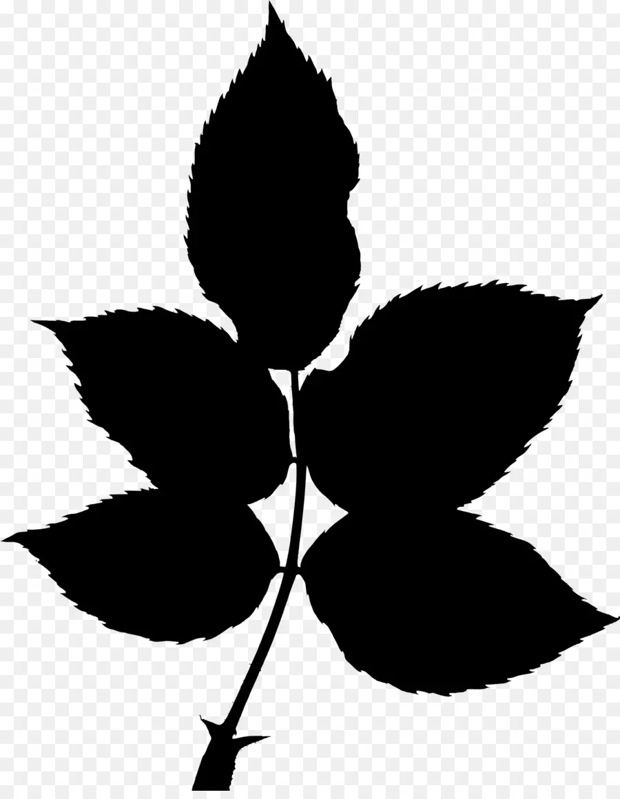 Feuille Silhouette，Nature PNG