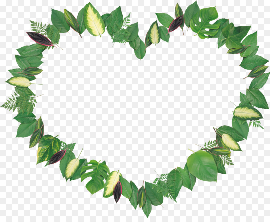 Cadre Coeur Feuille，Vert PNG