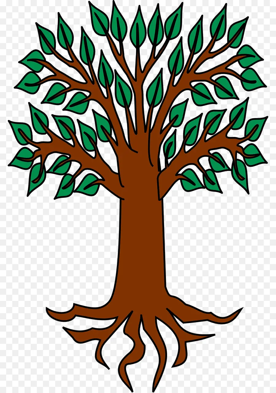 Arbre，Feuilles PNG