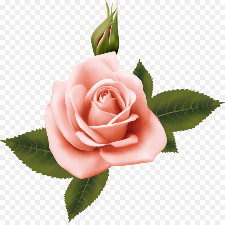 Fleurs，Bouquet PNG