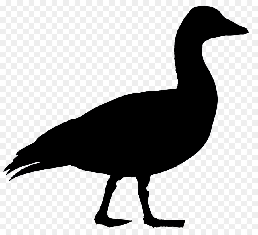 Canard，Silhouette PNG