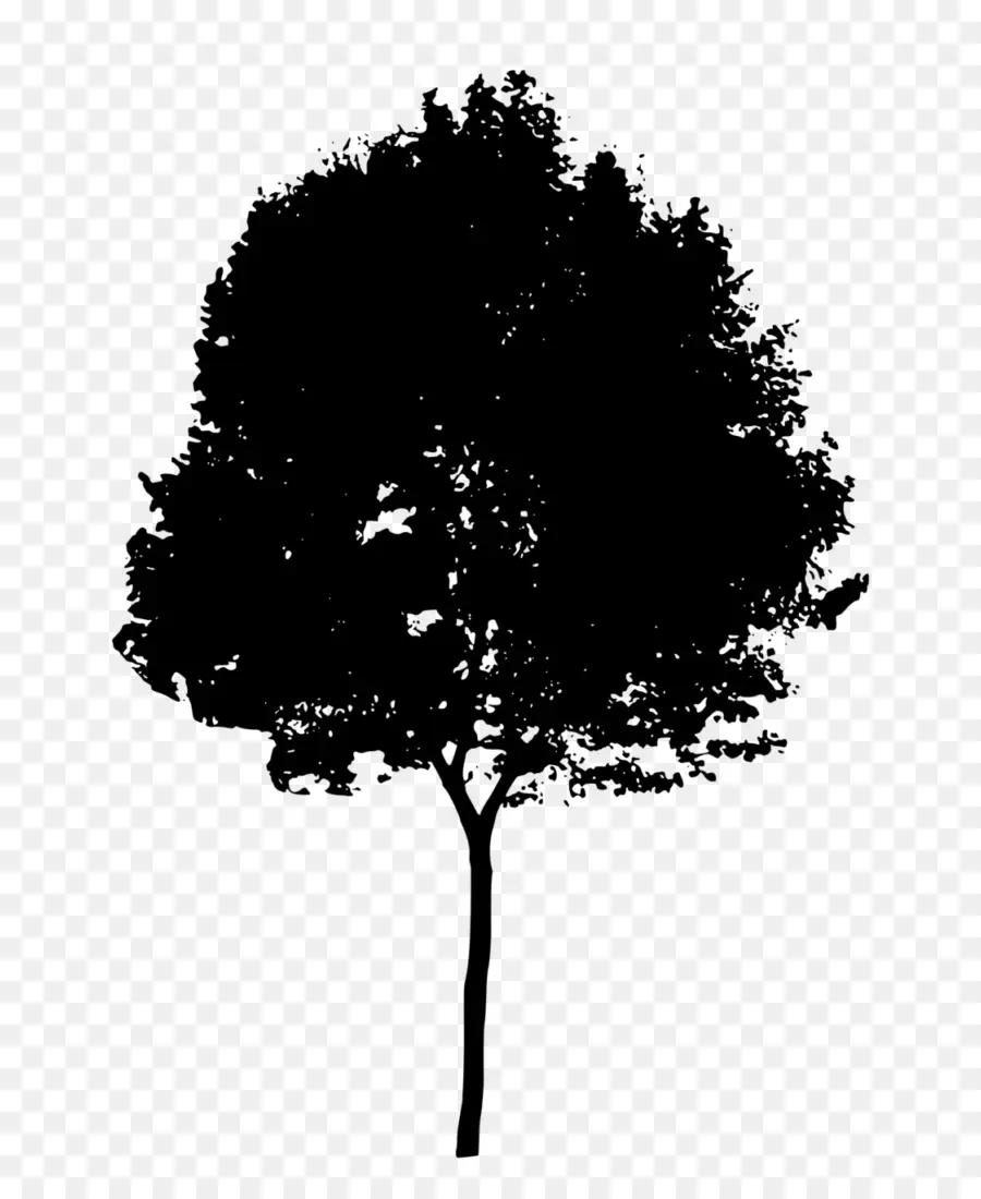 Silhouette D'arbre Noir，Nature PNG