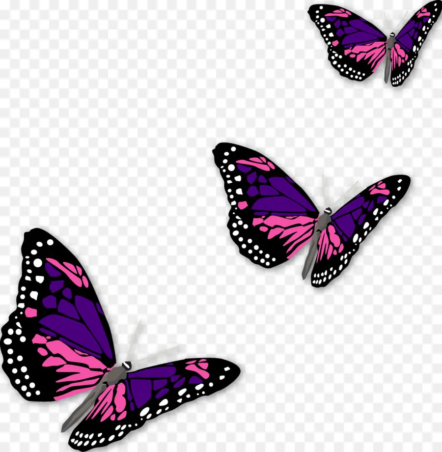 Papillon Violet，Insecte PNG