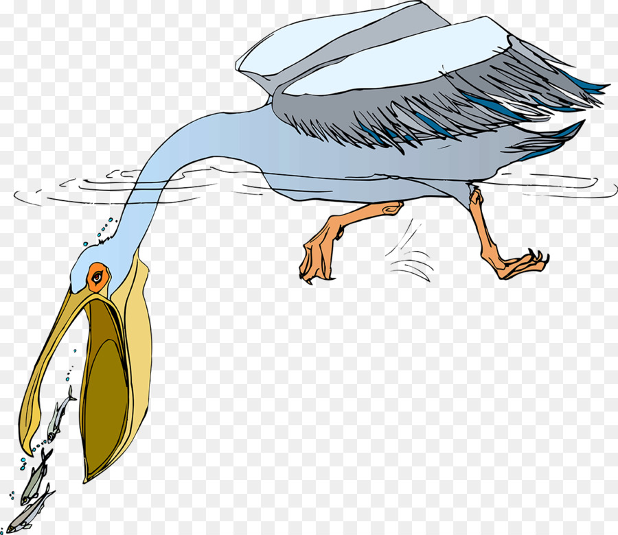 Canard，Oiseau PNG