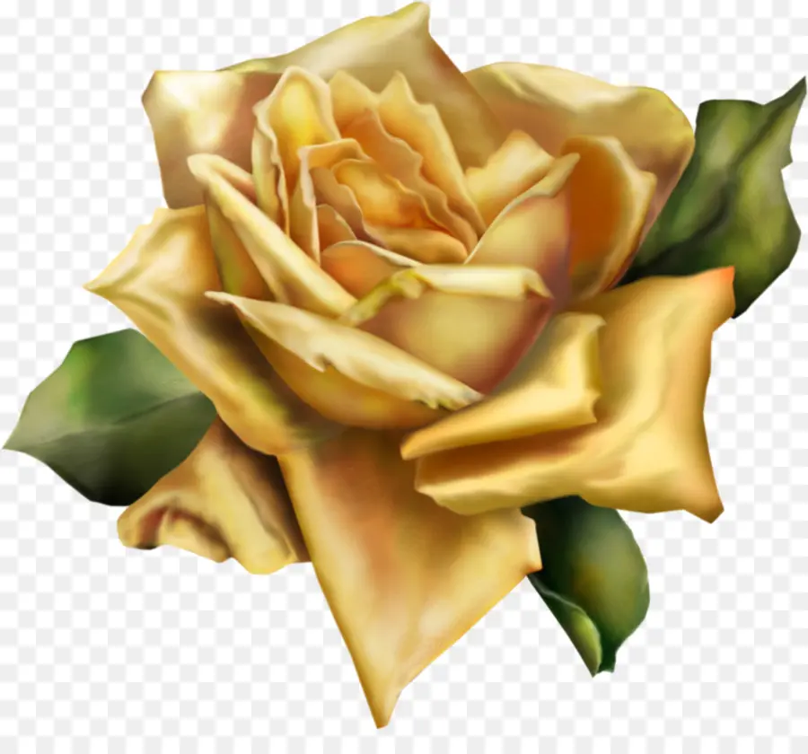 Rose Jaune，Floraison PNG