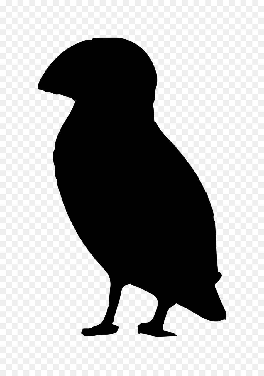 Silhouette D'oiseau，Noir PNG