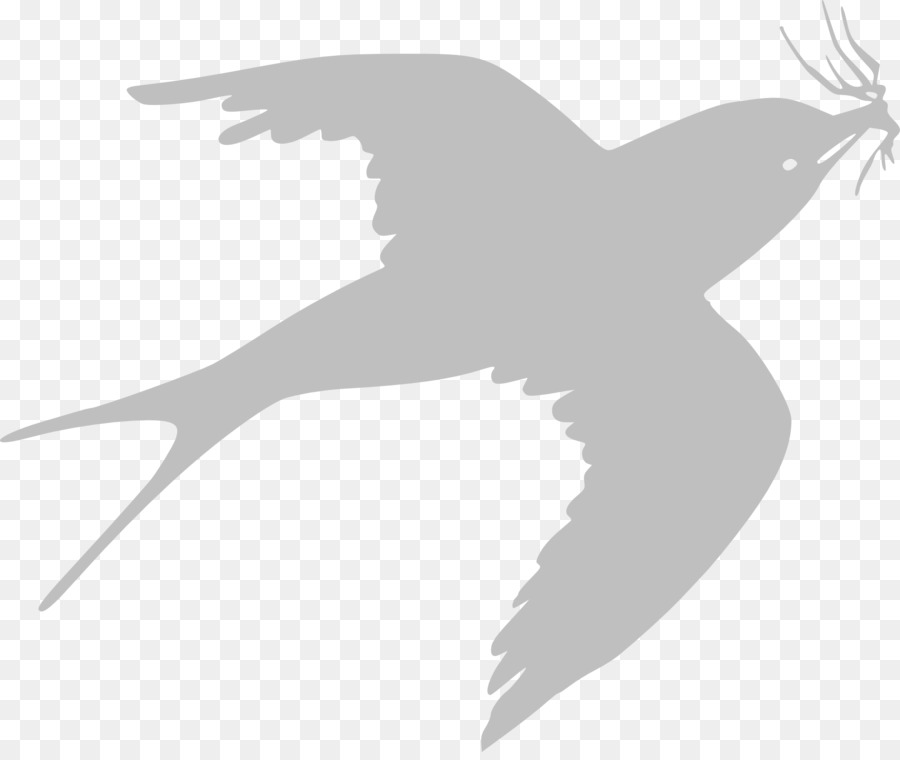 Oiseau，Silhouette PNG