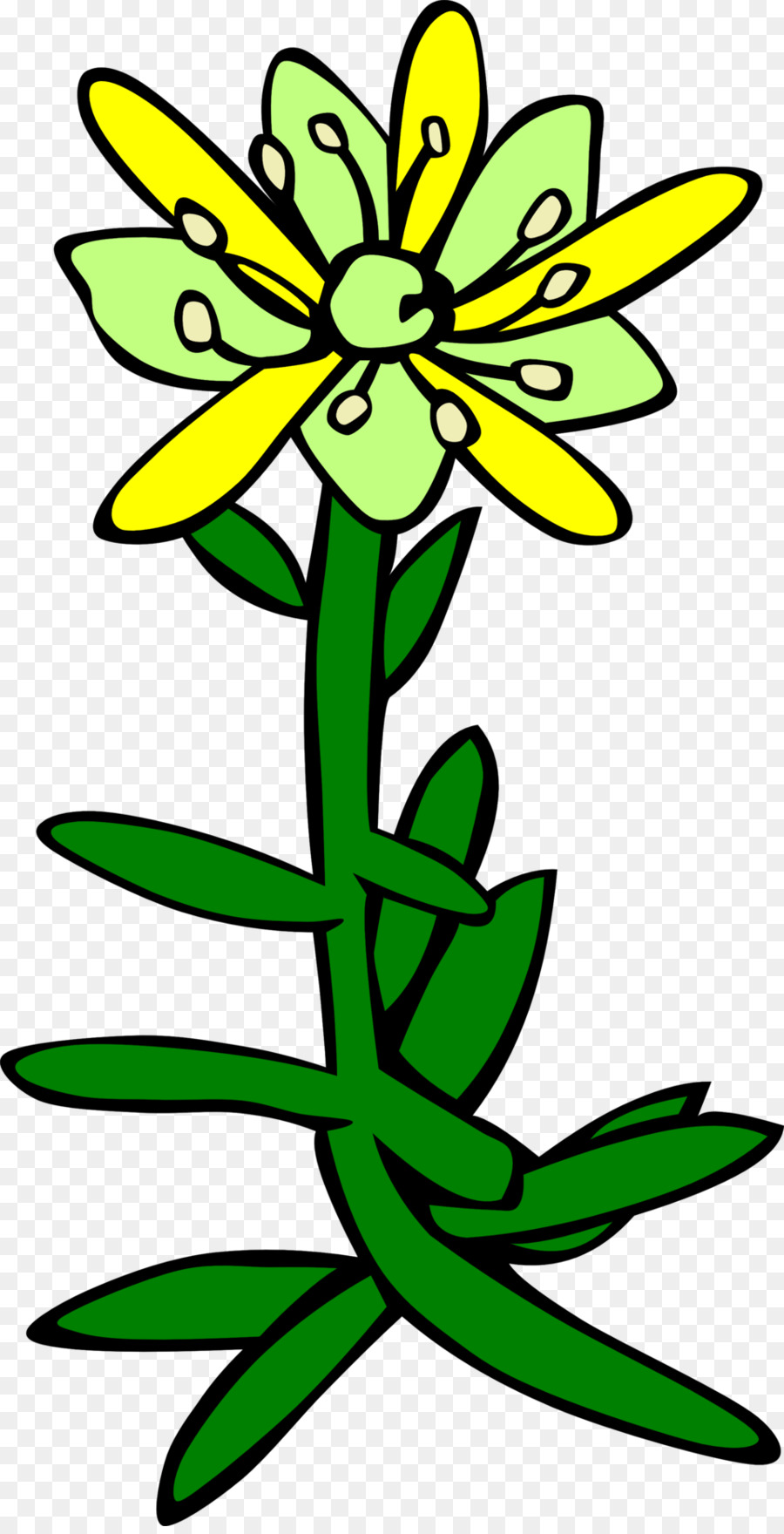 Saxifraga Oppositifolia，Fleur Sauvage PNG