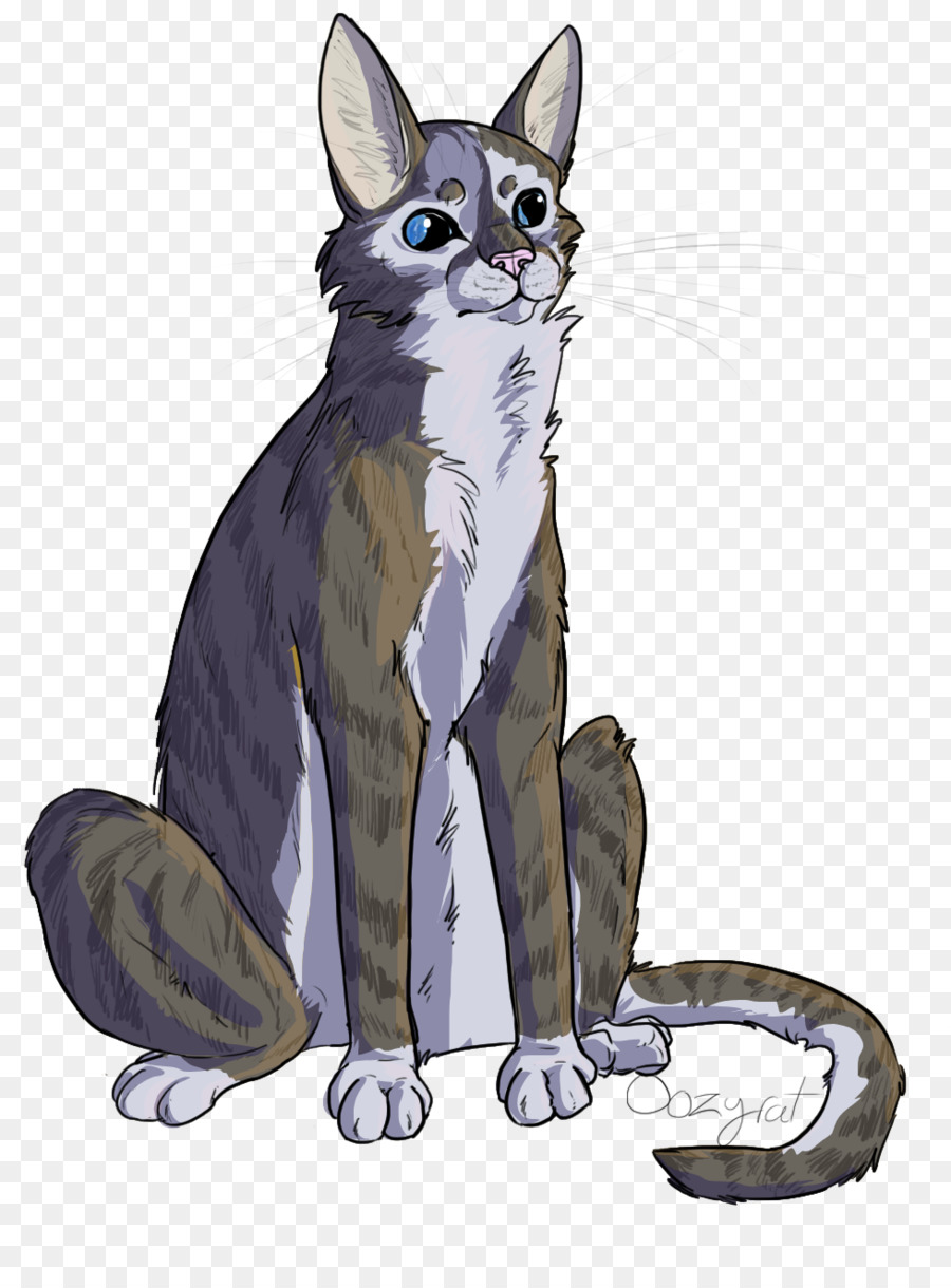 Chat，Gris PNG