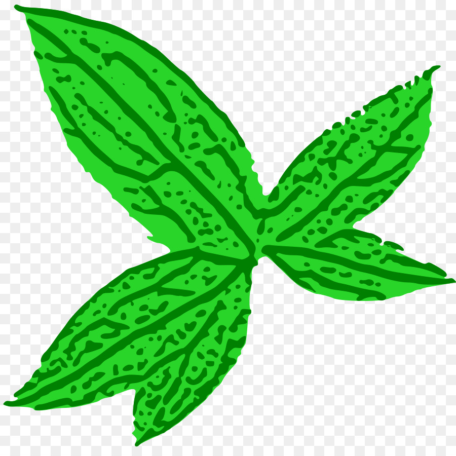 Feuille Verte，Nature PNG