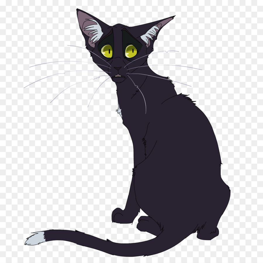 Chat，Animal De Compagnie PNG