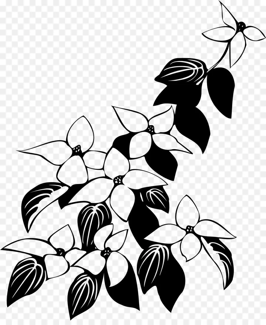 Fleurs Noires Et Blanches，Feuilles PNG