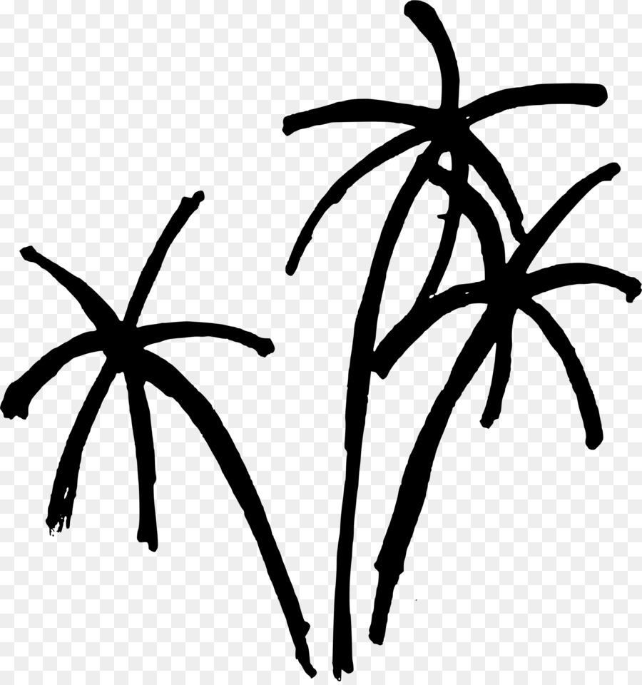 Arecaceae，Plante PNG