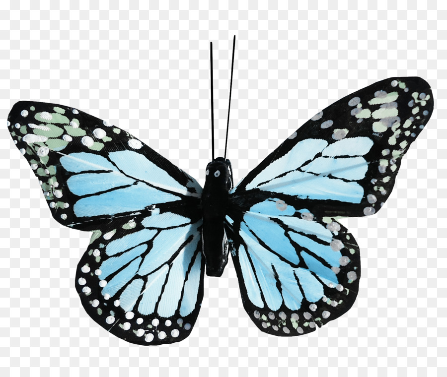 Papillon，Insecte PNG