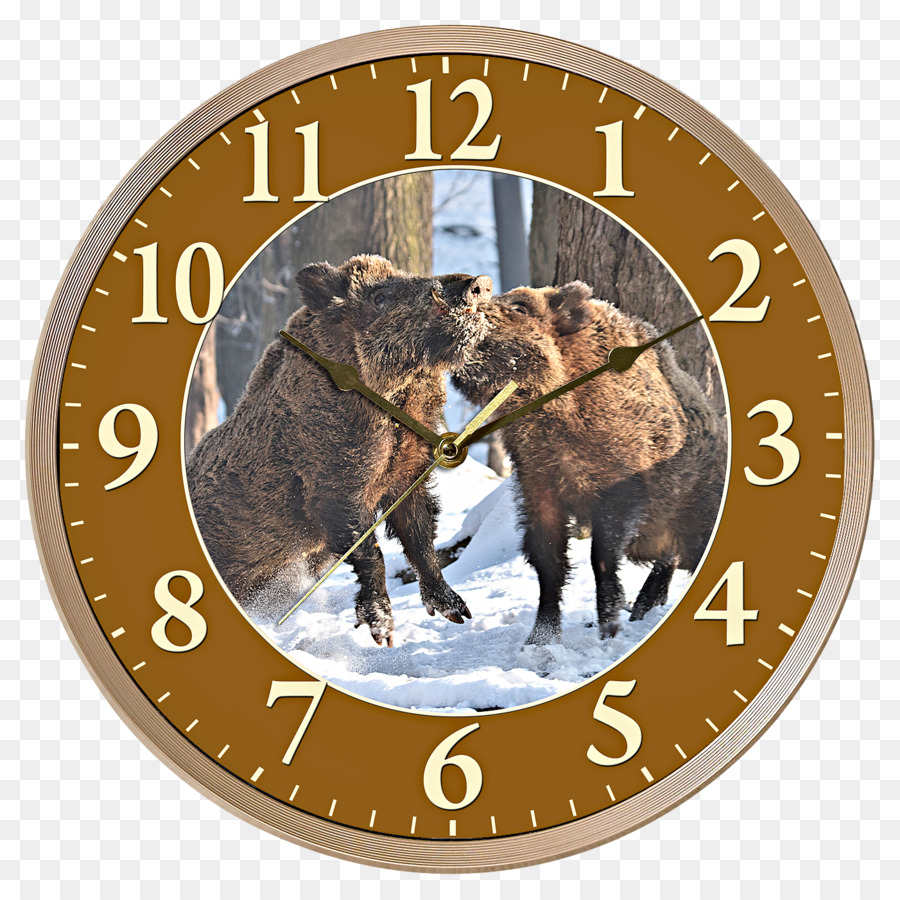 Horloge，Accessoires Du Vêtement PNG