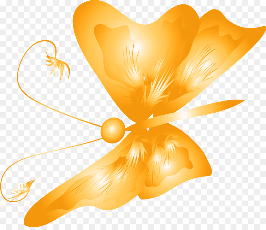 Papillon Jaune，Ailes PNG