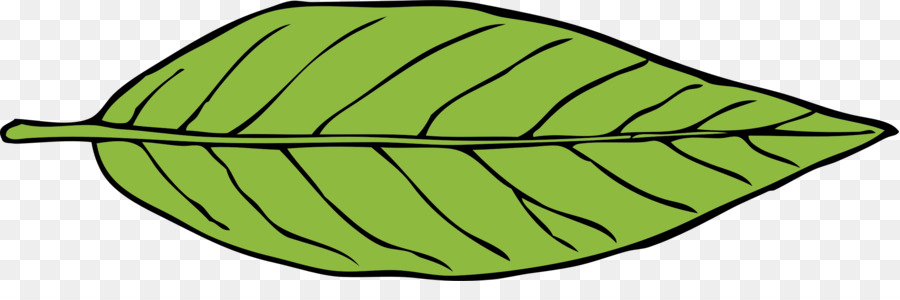 Feuille Verte，Nature PNG