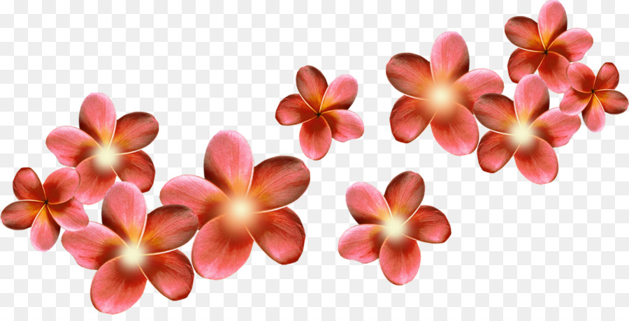 Fleurs，Fleurir PNG