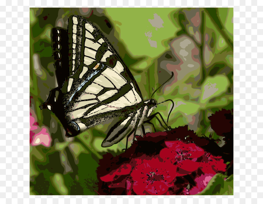 Papillon，Fleur PNG