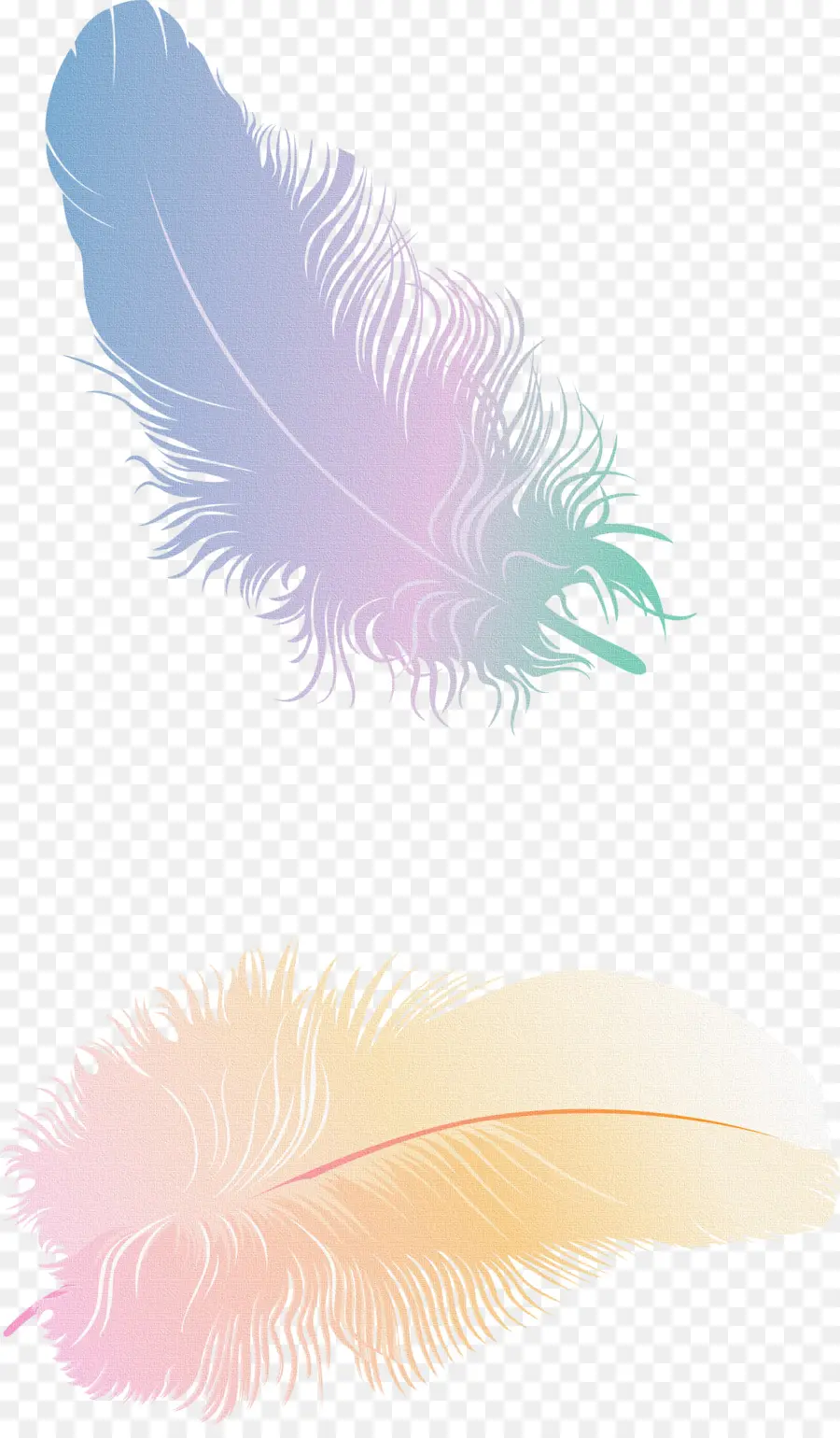 Plumes Colorées，Doux PNG