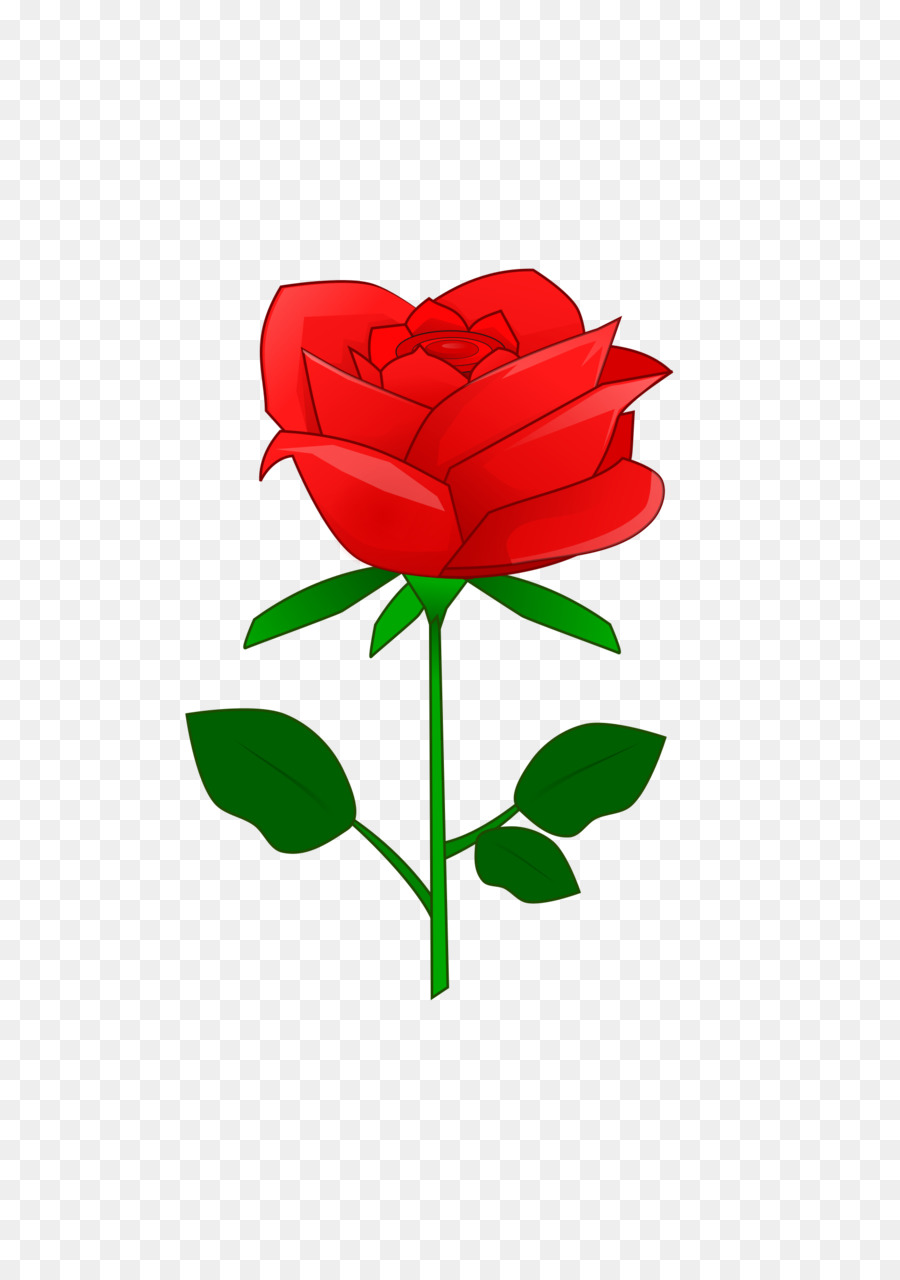 Rose，Rouge PNG