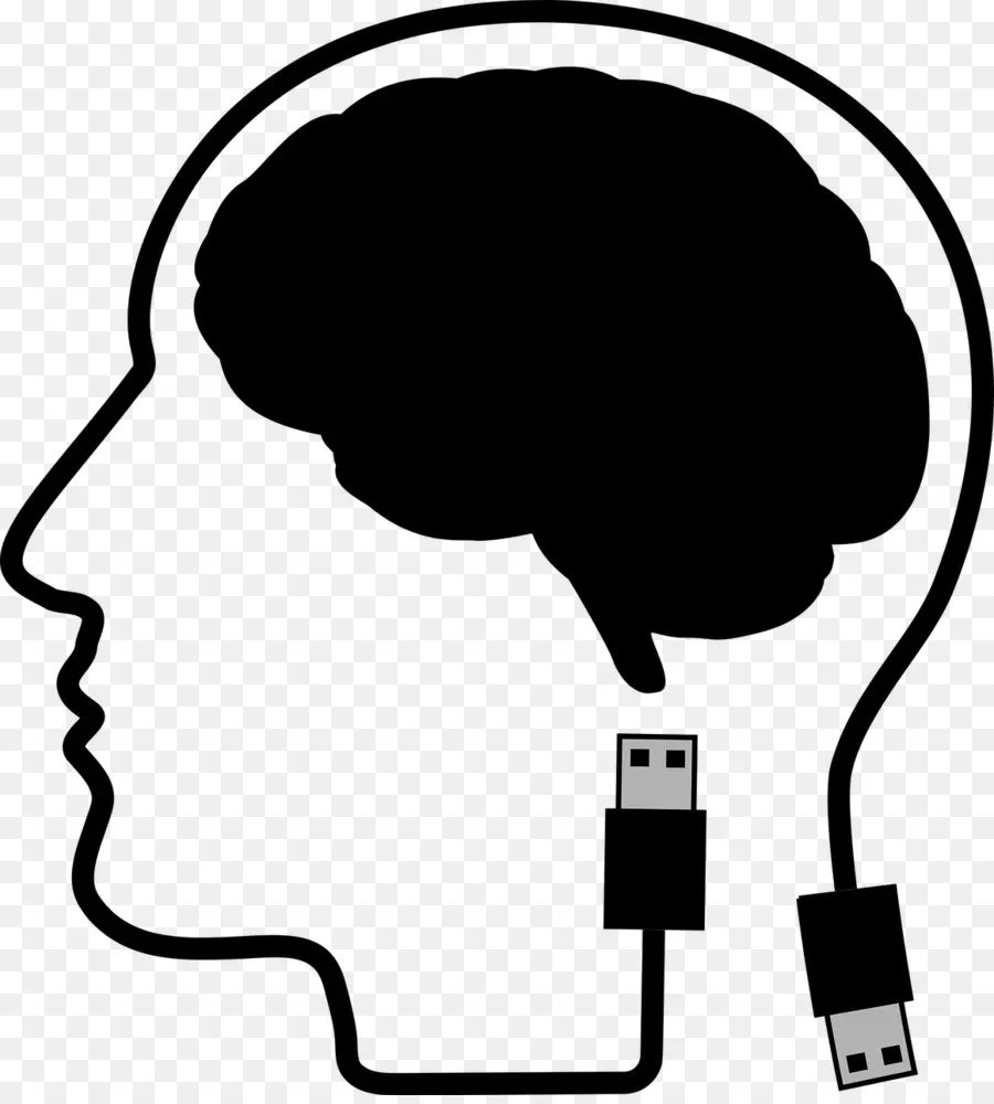 Cerveau Avec Câble Usb，Cerveau PNG