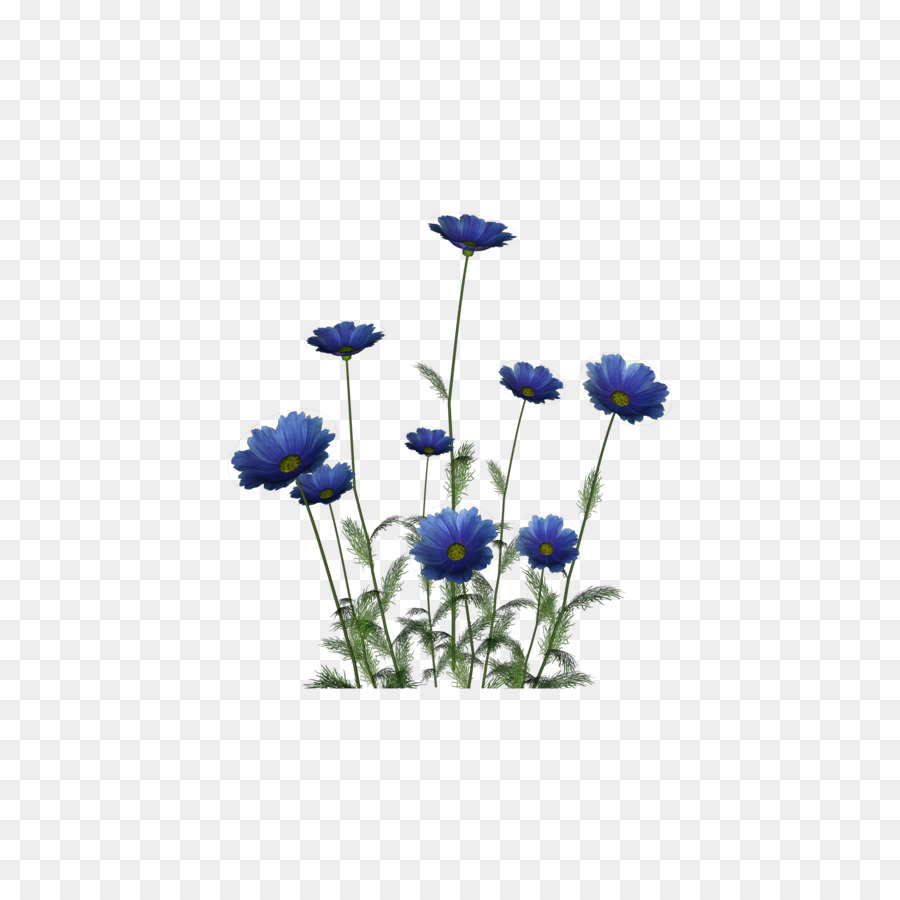 Fleur，Les Fleurs Coupées PNG