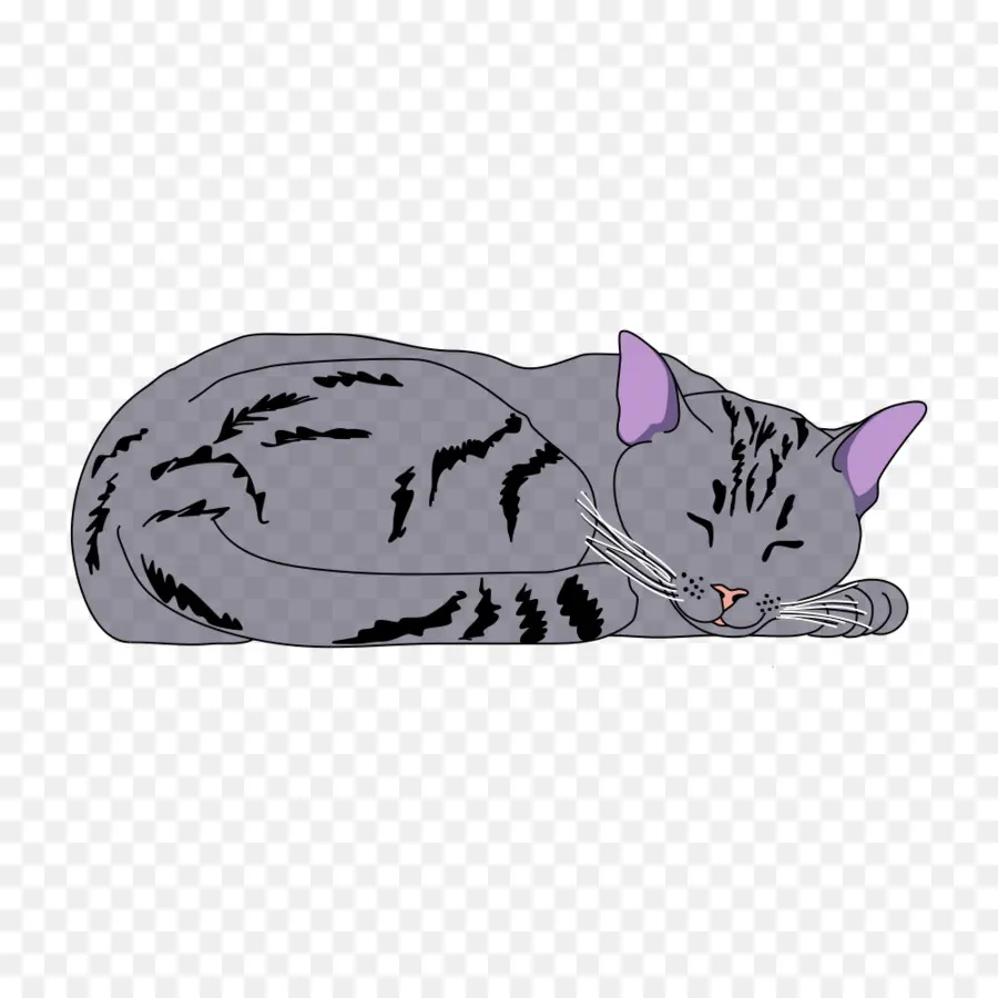 Chat Endormi，Repos PNG