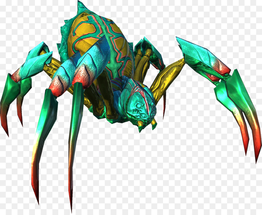 Araignée，Insecte PNG