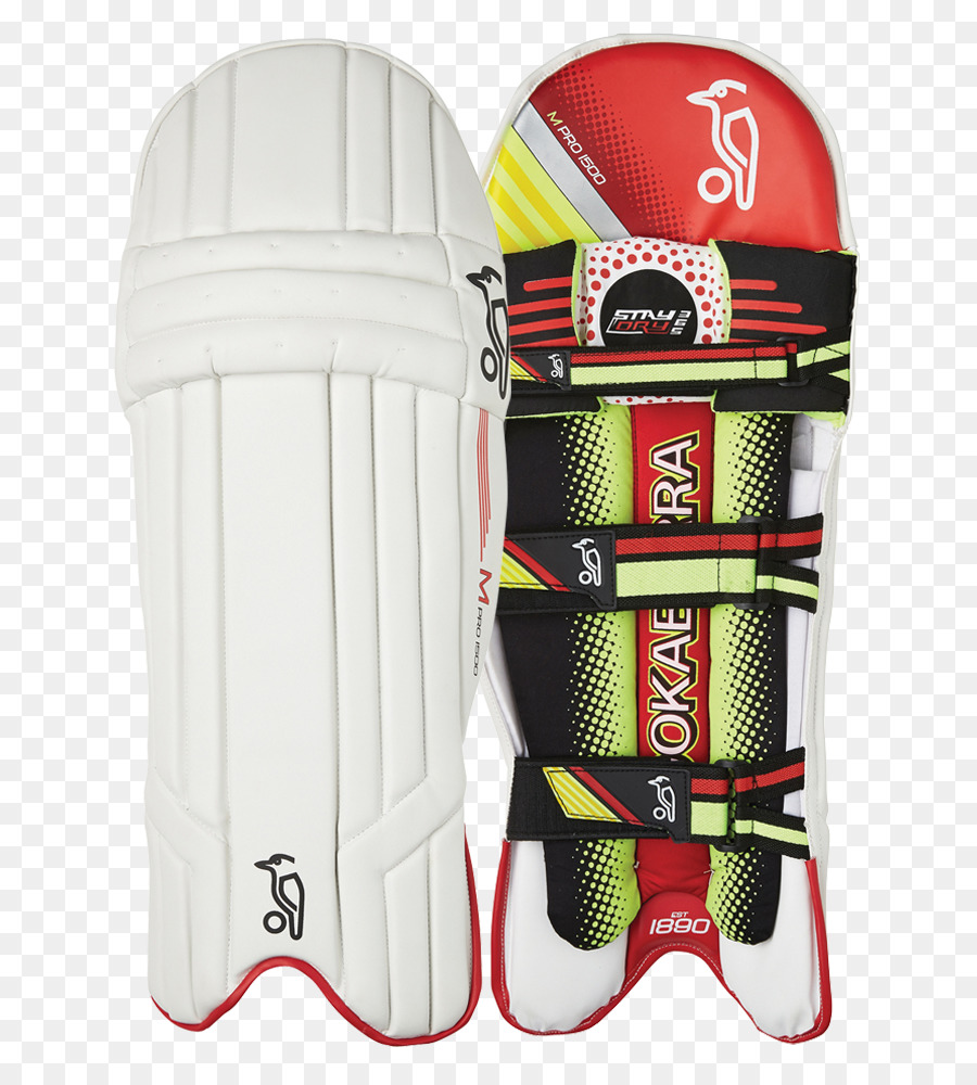 Tapis De Cricket，Protection PNG