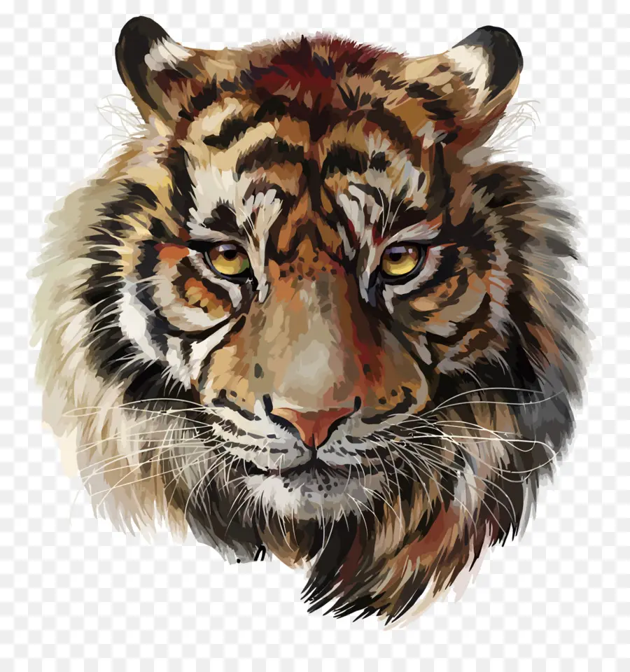 Tigre，Peinture PNG