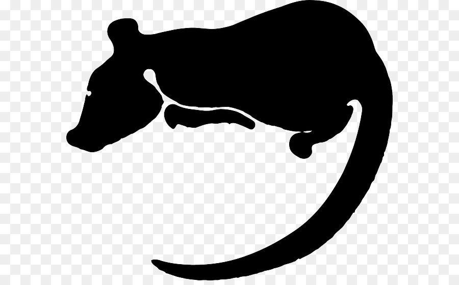 Un Rat De Laboratoire，Rat PNG