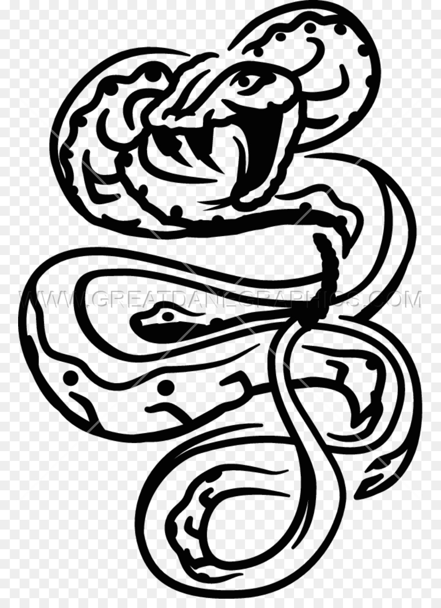 Serpent，Reptile PNG