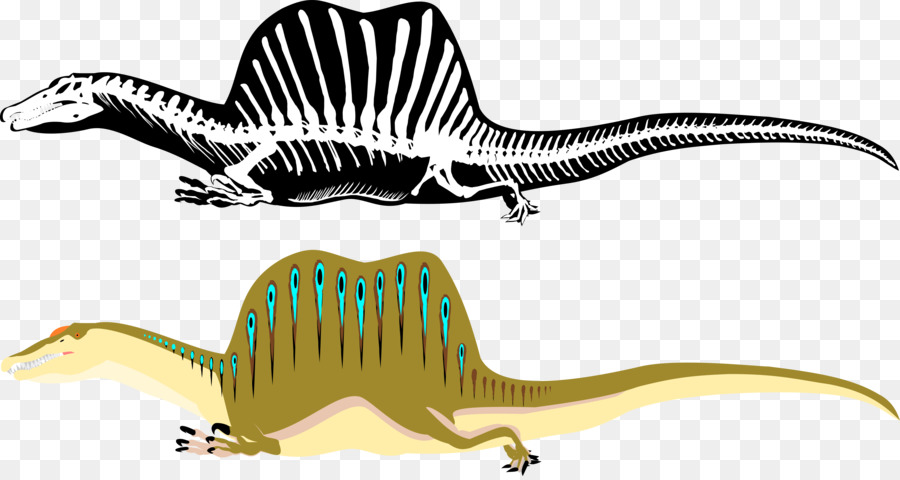 Spinosaurus，Tyrannosaurus PNG