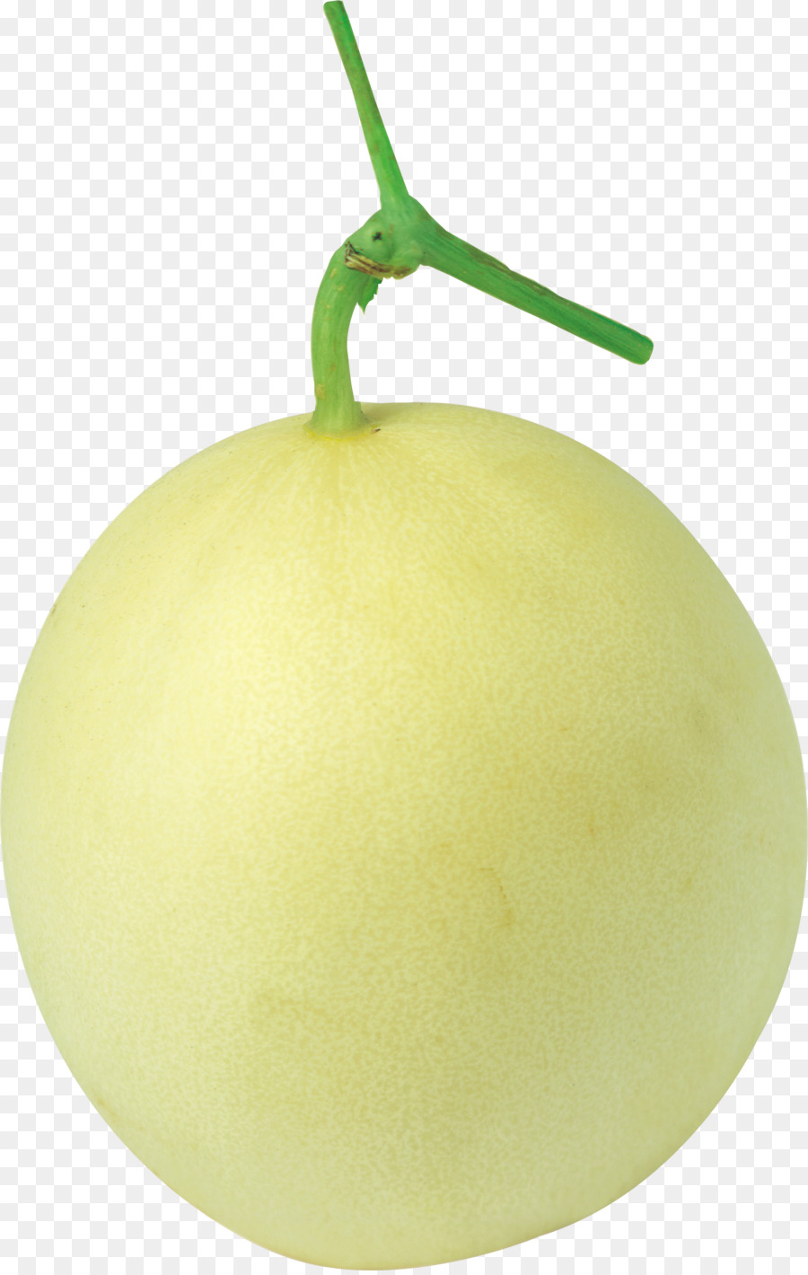 Melon，Miellat PNG